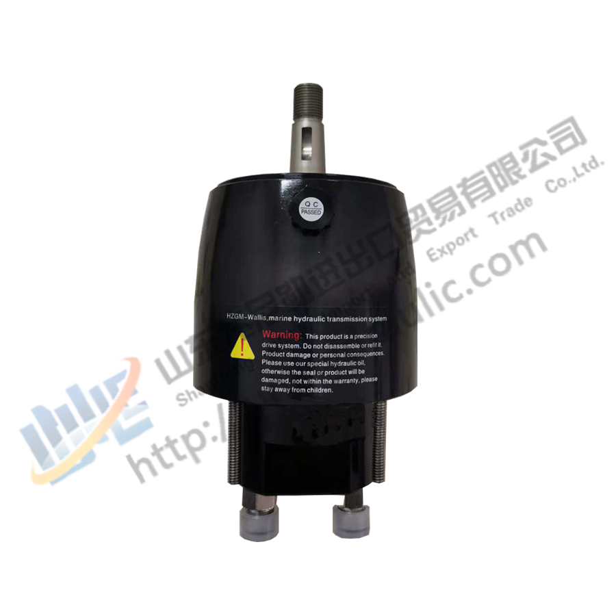 304 Stainless Steel Hydraulic Cylinder for Marine Buy 304 Stainless